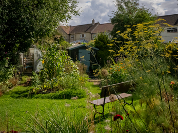 Individual wildlife garden in Yate