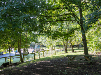 Wheatfield Primary green space and trees