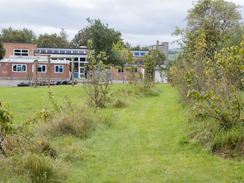 Woodlands Academy building and green space outdoors 