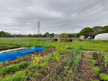 Frome Valley Growing Project