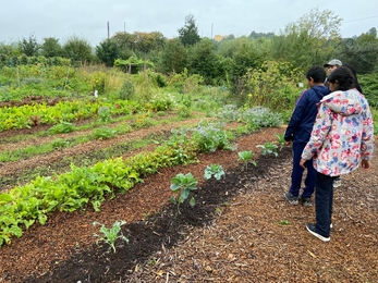 Black2Nature at Grow Wilder veg patches