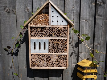 Individual Dorothy Smith bug hotel