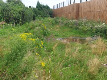 Lockleaze sports centre grounds with pond and wildflowers