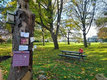 Filton Community Garden decorated tree and bench in green space
