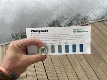 BART River detectives water quality testing phosphate
