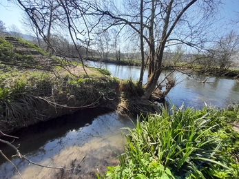 Stream leading to River