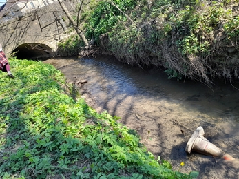 Stream with cone and river bank