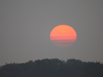 Sunrise