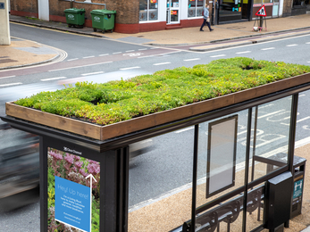 Bus stop with green roof