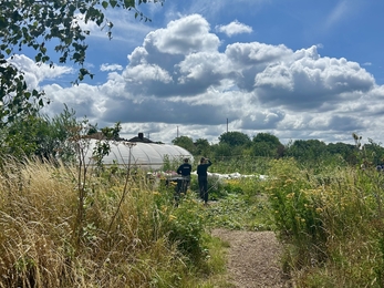 Looking out towards a polytunnel, with a bright blue sky and billowing clouds