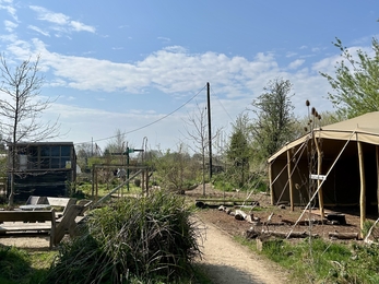 Looking down a path at Grow Wilder, where you can see the canvas on the right-hand side