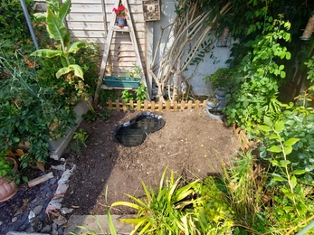 Creating a wildlife pond