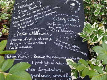 Blackboard sign with writing about wildlife gardening and real greenery around the edge as outside