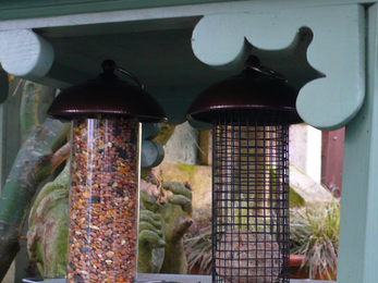 Blue bird feeder with bird seeds and fat ball not on a flat surface in a garden