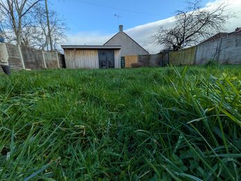 Grass in garden with shed in background from ground perspective
