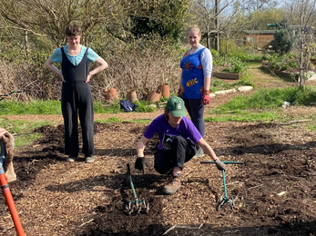 Three people planting seeds in soil