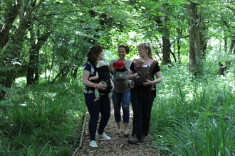 mums and babies walking in woodland