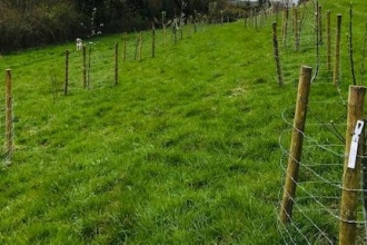 Cotswolds field