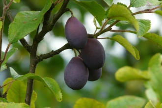 ""
