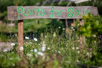 Plants for Sale sign