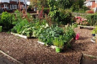 Edible Garden