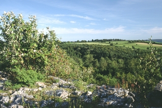 Goblin Combe view south