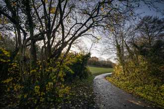 Stockwood open space winding path