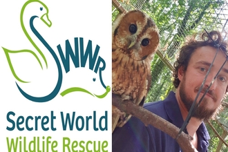 Secret World wildlife rescue