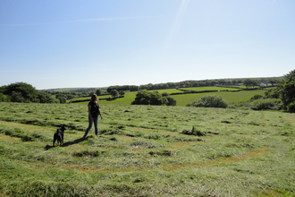 Kelly Bray walking dog