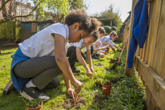 Wild for Wildflowers project