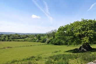 Folly Farm view landscape