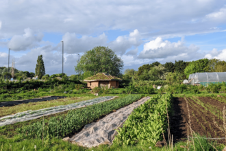 Picture of the Grow Wilder Site 