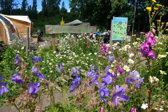 Wildflowers and a 'plants for sale sign' at Grow Wilder