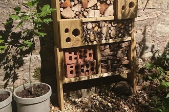 Aimee Shaw Facebook Bee Hotel 