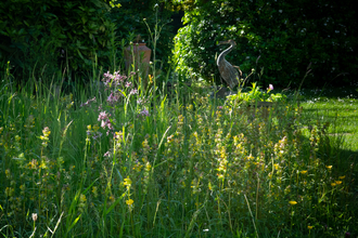 ragged robin, yellow rattle, daisy, red clover, buttercup , ox-eye daisy meadow Stephanie Chadwick