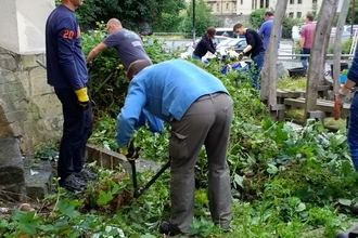 Wild Walcot Clearing