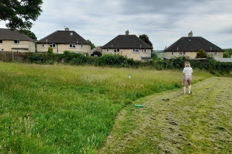 Blooming_Whiteway_06.22_park_meadow_1_edge