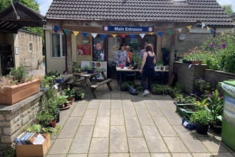 Grow Batheaston plant stall at School Meadowfest