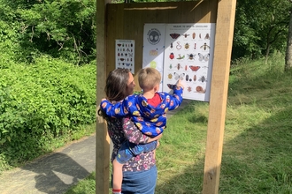 Grow Batheaston notice board for meadow and orchard slopes marian hill insect board courtesy of bathscape