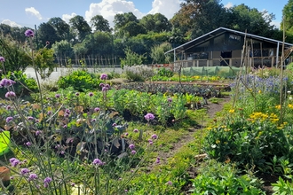 Redcatch Community Garden allotment