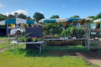 Redcatch Community Garden plant stands