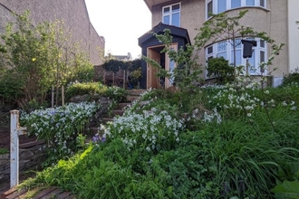 Tom_Wilmott_wild_garden_revival_front_garden