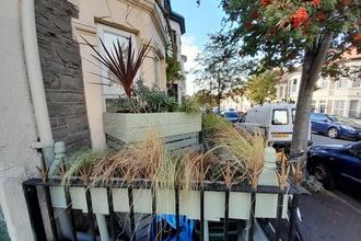Grenville_Johnson_BS5_St_George_in_Bloom_Front_Garden_3