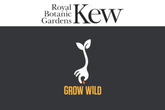 Royal Botanical Gardens Kew Grow Wild rectangle