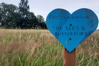 Wildflower Meadow Whiteshill Common Project WEG