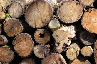 Log pile