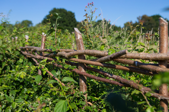 Farm hedgerows natural barrier