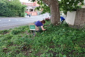 BS3 Patchwork Community Gardening Group 