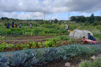 Grow Wilder volunteers