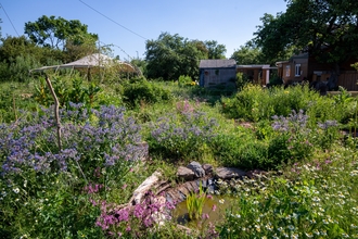 Wildlife Pond at Grow Wilder